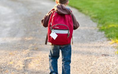 ¿Puede un progenitor cambiar de colegio a un menor?